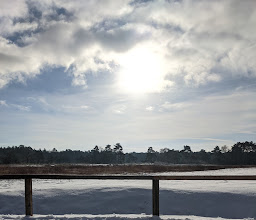 Schnaakenmoor Nature Reserve photo