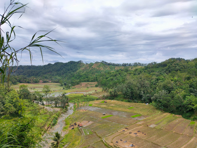 Kedung Bening Watukumpul,Pemalang-Jateng.