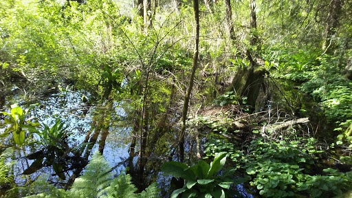 Park «West Hylebos Wetlands Park», reviews and photos, 411 S 348th St, Federal Way, WA 98003, USA