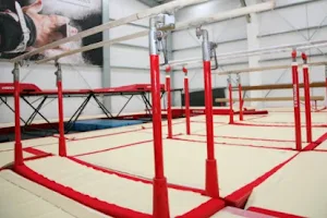 Colchester School of Gymnastics image