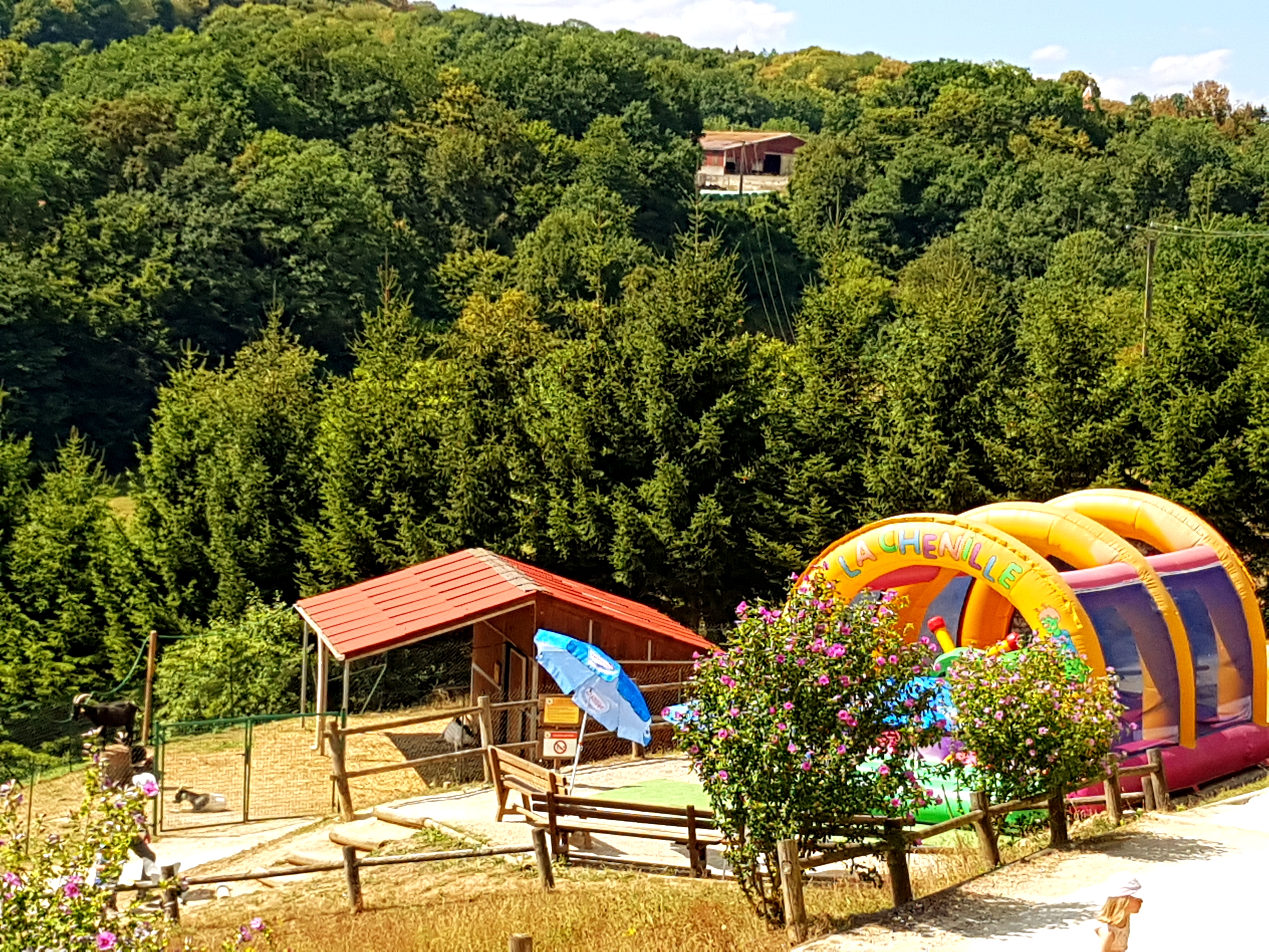 Photo n° 11 de l'avis de Paulinka.o fait le 03/08/2018 à 06:39
