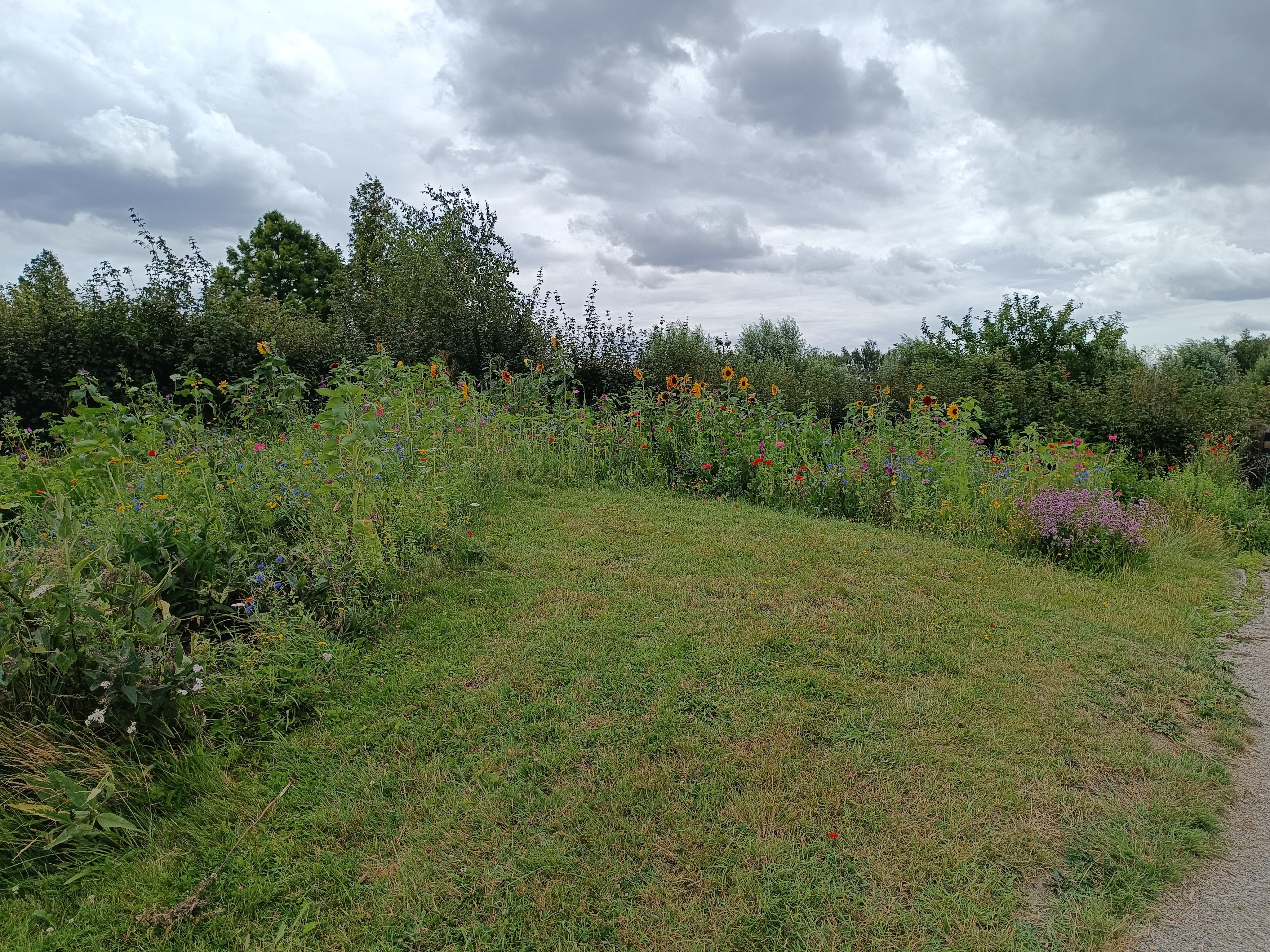 Photo n° 1 de l'avis de Manon.u fait le 16/07/2023 à 14:32
