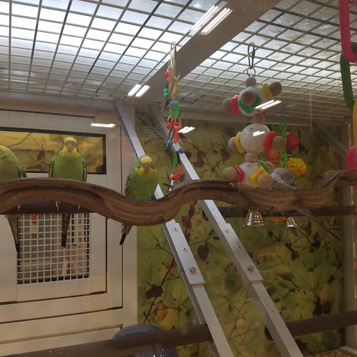 Pet Supply Store «PetSmart», reviews and photos, 8537 W Grand River Ave, Brighton, MI 48116, USA