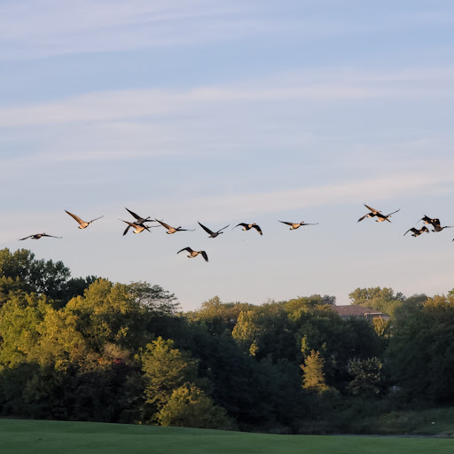 Golf Course «Copper Creek Golf Club & Events Center», reviews and photos, 4825 Copper Creek Dr, Pleasant Hill, IA 50327, USA