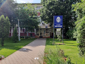 Liceul Vasile Alecsandri