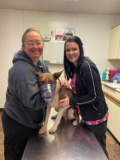 Countryside Animal Clinic image