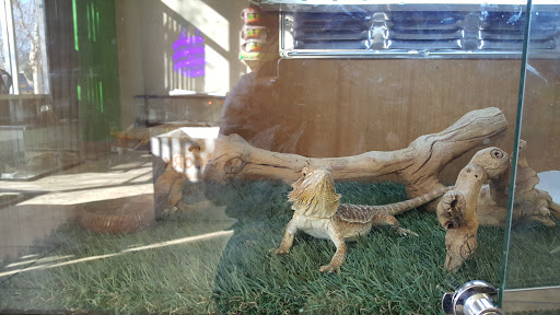 Reptile Store «Jurassic Pet Supplies», reviews and photos, 695 W Holt Ave #104, Pomona, CA 91768, USA