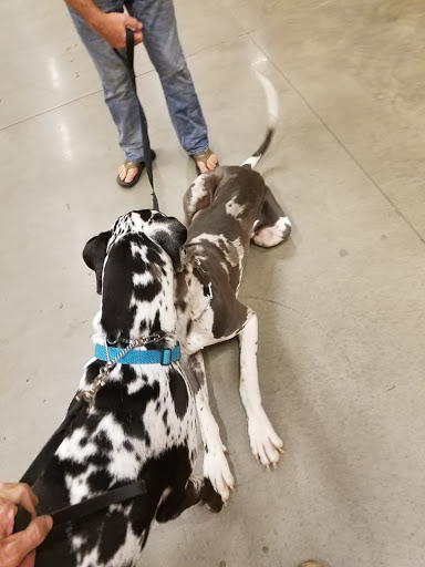 Home Improvement Store «The Home Depot», reviews and photos, 3489 Ross Clark Cir, Dothan, AL 36303, USA