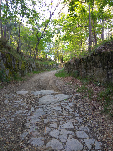 Serra de Canelas / Negrelos