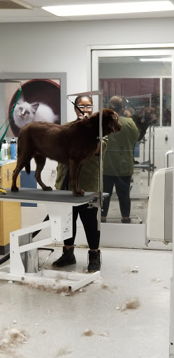 Pet Supply Store «Petco Animal Supplies», reviews and photos, 2965 Hempstead Turnpike, Levittown, NY 11756, USA