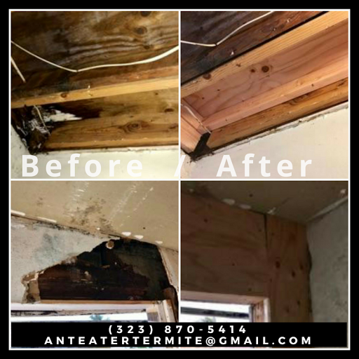 Anteater Termite & Pest Control image