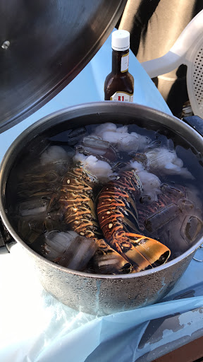 Dive Shop «Sea Experience Glassbottom Snorkel and Dive Tours», reviews and photos, 801 Seabreeze Blvd, Fort Lauderdale, FL 33316, USA