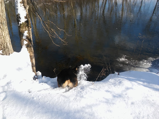 Nature Preserve «Leonard Preserve», reviews and photos, N Union St, Manchester, MI 48158, USA