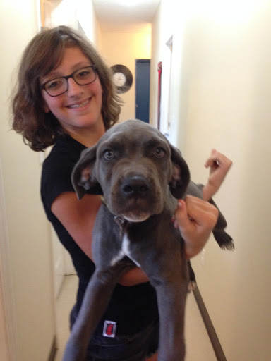 Pet Boarding Service «Howliday Inn Suites & Treats Pet Resort», reviews and photos, 1 Davis Ct, Hurricane, WV 25526, USA