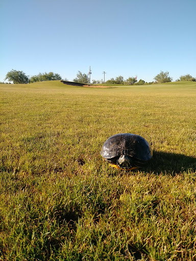 Golf Club «Turquoise Valley Golf», reviews and photos, 1794 W Newell St, Naco, AZ 85620, USA