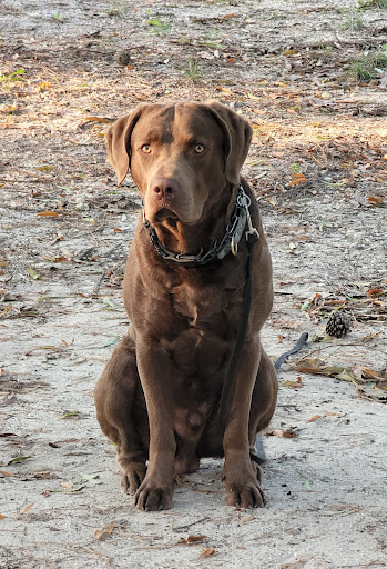 120 E Jimmie Leeds Rd, Galloway, NJ 08205, USA