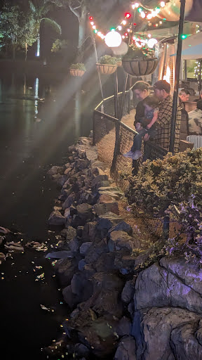 Anthonys Fish Grotto image