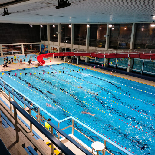 Swimming pool Arena