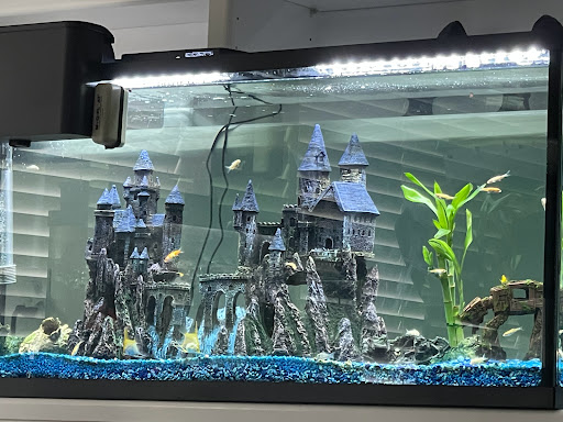 Pet Supply Store «PetSmart», reviews and photos, 4045 Dowlen Rd, Beaumont, TX 77706, USA