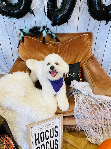 The Groom Room Ennis