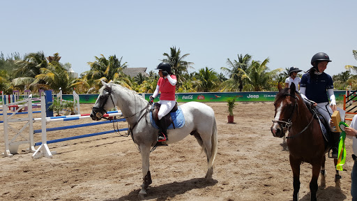 Entrenador de caballos Mérida