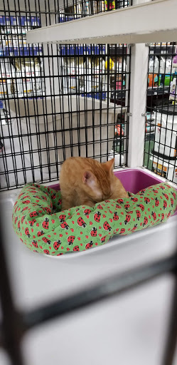 Pet Supply Store «Pet Supermarket», reviews and photos, 545 Cool Springs Blvd, Franklin, TN 37067, USA