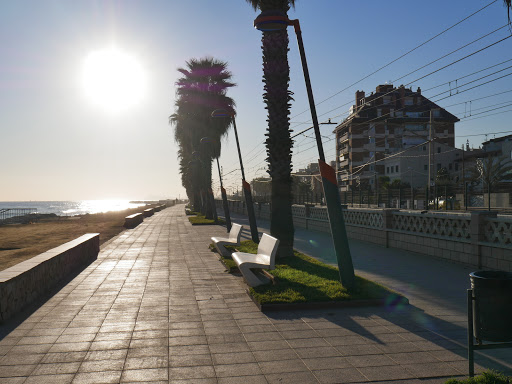 Ocaso