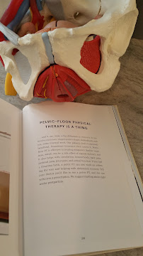 Hudson Valley Physical Therapy, LLC - Photo 5 - Car repair in Hartsdale, NY, Stamford