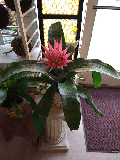 Florist «Eureka Florist», reviews and photos, 524 Henderson St, Eureka, CA 95501, USA