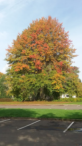 Park «Alton Baker Park», reviews and photos, 100 Day Island Rd, Eugene, OR 97401, USA