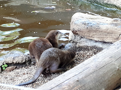 Odsherred Zoo Rescue in Asnæs, Odsherred