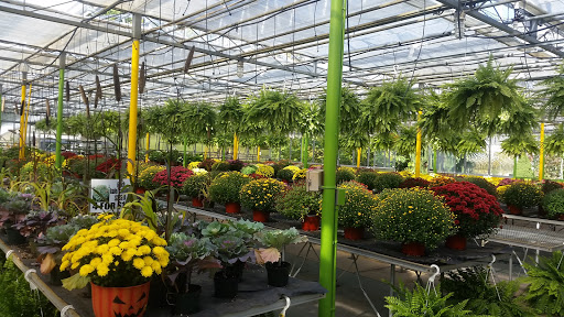 Florist «Dutch & Olgas Greenhouse», reviews and photos, 1285 NJ-36, Hazlet, NJ 07730, USA