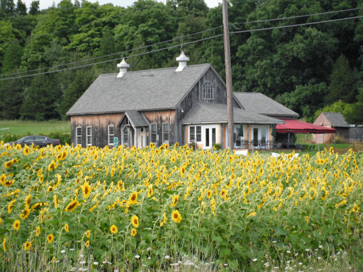 Winery «Snow Farm Vineyard & Winery», reviews and photos, 190 W Shore Rd, South Hero, VT 05486, USA