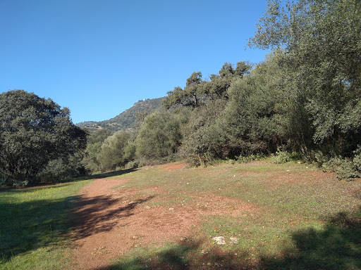 Parque urbano El Patriarca