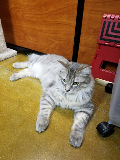 Pet Supply Store «PetSmart», reviews and photos, 2730 Pacific Coast Hwy, Torrance, CA 90505, USA