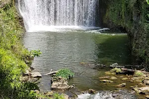 Indian Mound Waterfall image
