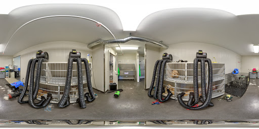 Kennel «Pampered Pets», reviews and photos, 601 Concord Ave, Charlottesville, VA 22903, USA