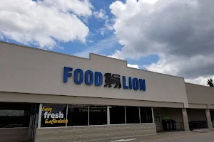 Food Lion image