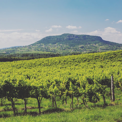 Kisapáti, Bem apó u. 11, 8284