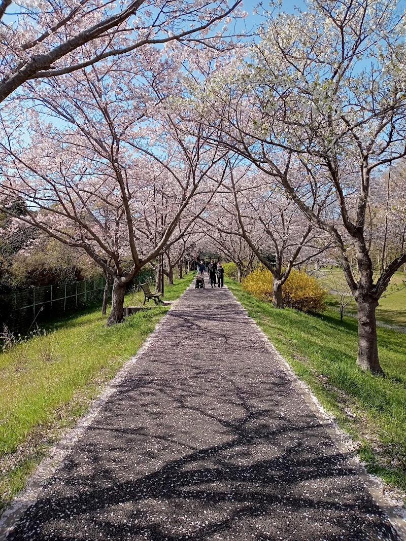 宮ノ森公園