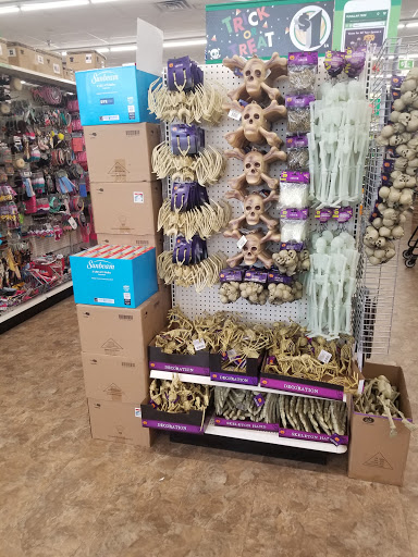 Dollar Store «Dollar Tree», reviews and photos, 30887 Orchard Lake Rd, Farmington Hills, MI 48334, USA