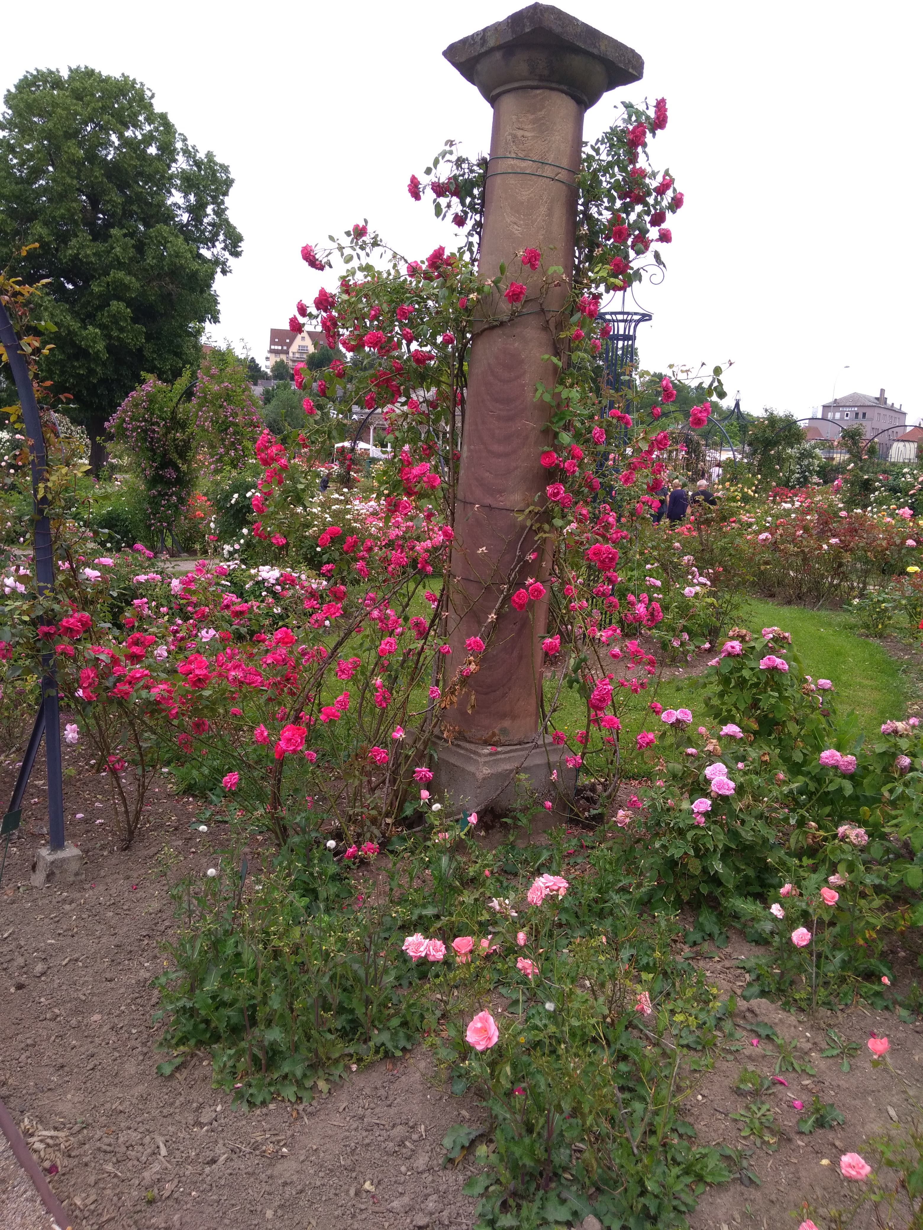 Photo n° 1 de l'avis de Emmanuelle.e fait le 16/06/2019 à 12:45