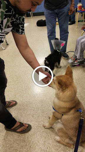 Pet Supply Store «PetSmart», reviews and photos, 4005 Airport Fwy, Irving, TX 75062, USA