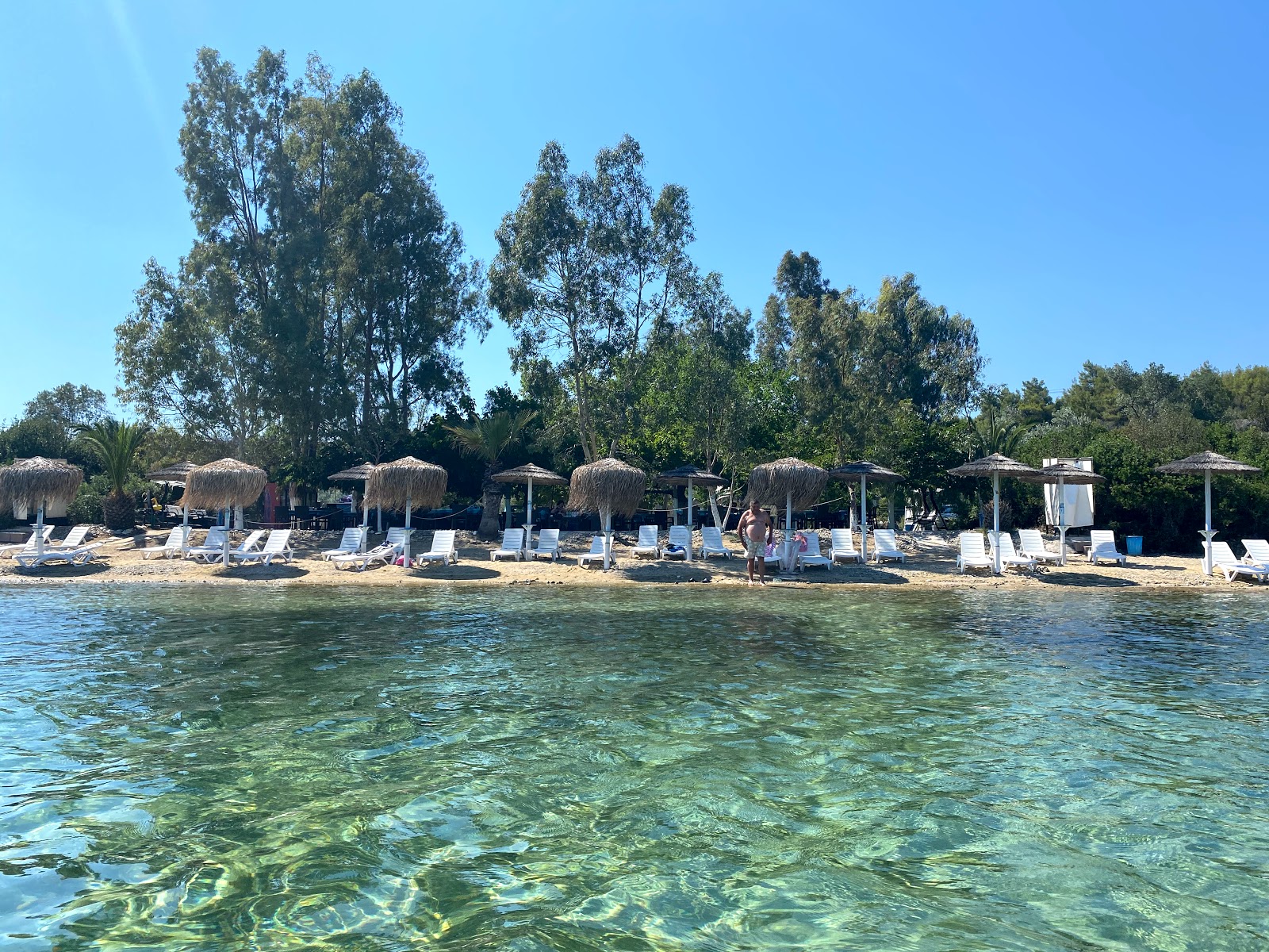 Foto av Rododafni beach beläget i naturområde