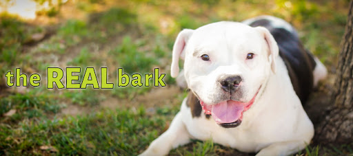 The REAL Bark