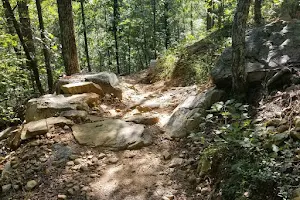 Coldwater Mountain Bike Trail Head image