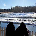 Photo n°1 de l'avis de ###.u fait le 14/02/2021 à 13:31 sur le  Forellenhof Walgerfranz à Bad Tölz