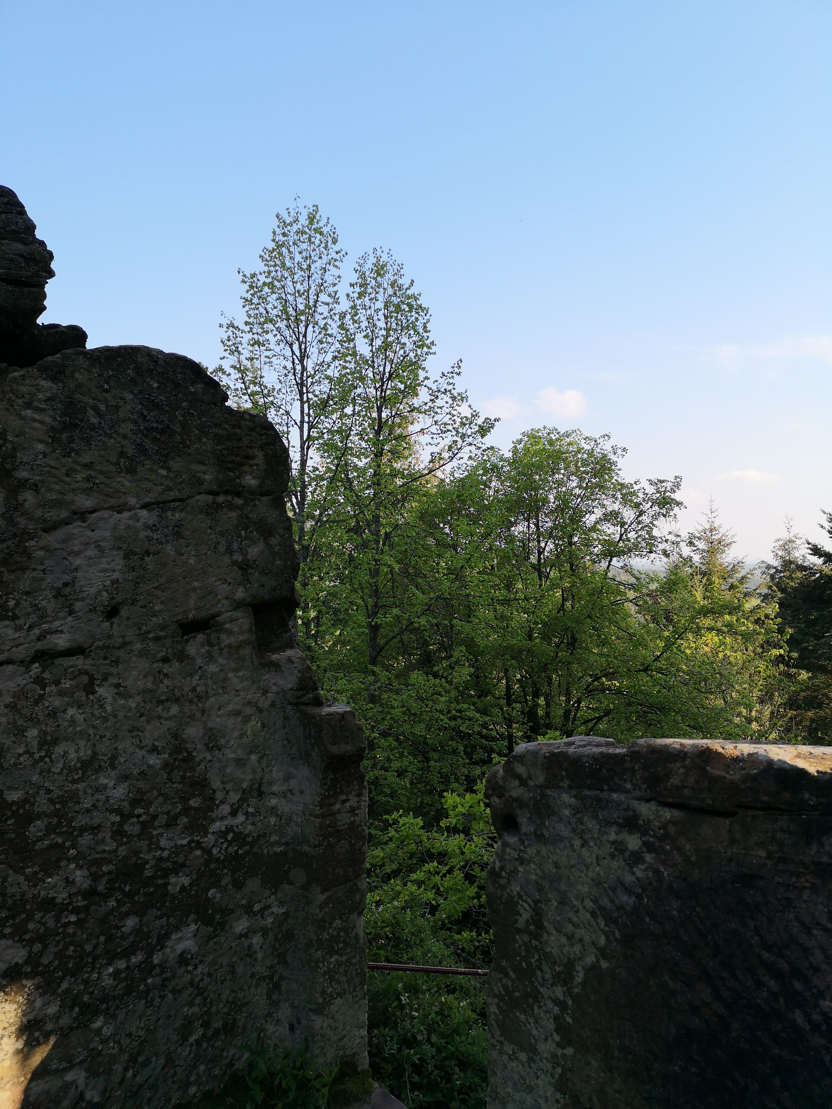 Photo n° 4 de l'avis de Jiri.a fait le 10/05/2019 à 07:54