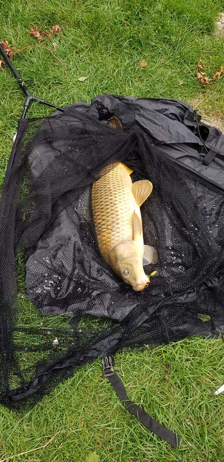 Photo n° 1 de l'avis de Jorn.c fait le 30/07/2019 à 18:22