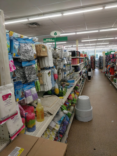 Dollar Store «Dollar Tree», reviews and photos, 8634 Baymeadows Rd, Jacksonville, FL 32256, USA